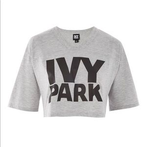 Gray Ivy Park Crop Top